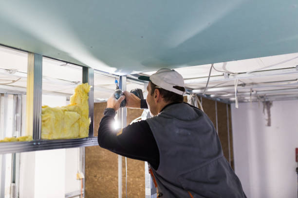 Best Geographic-Specific Insulation Services in Ntgomery City, MO