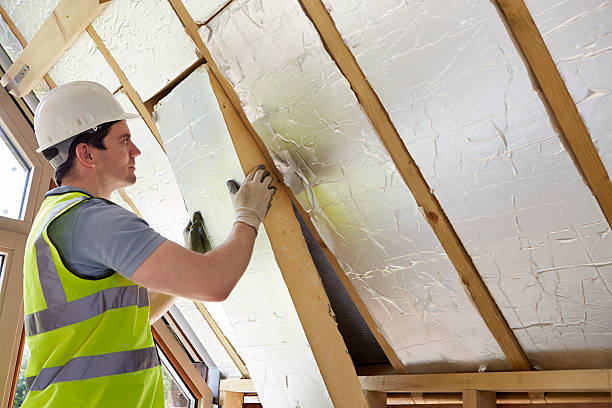 Best Commercial Insulation in Ntgomery City, MO